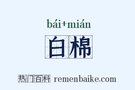 白棉是什么意思的图片